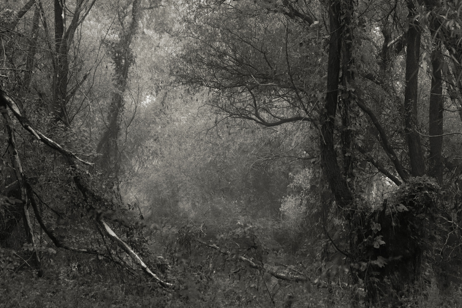 Otevření Pavilonu a&nbsp;vernisáž výstavyV LABYRINTU TICHA fotografa Petera Kollára